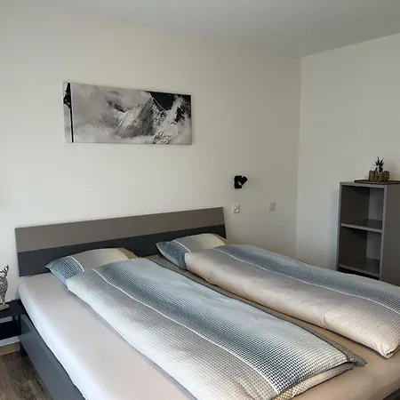 Alea Appartement-fewo 4-bettwohnung Nr- 20 By Interhome Saas-Grund